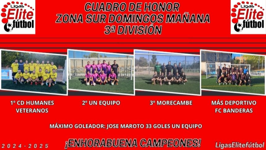 CUADRO DE HONOR. ZONA SUR DOMINGO MAÑANA 3ª DIVISIÓN